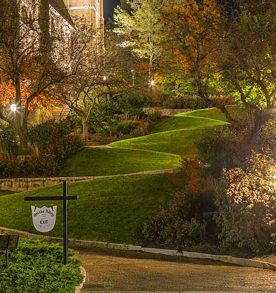 Snake Alley - In Burlington