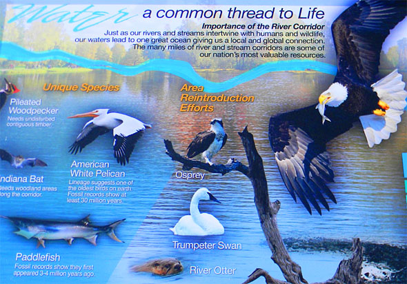 Horns Ferry Bridge Area