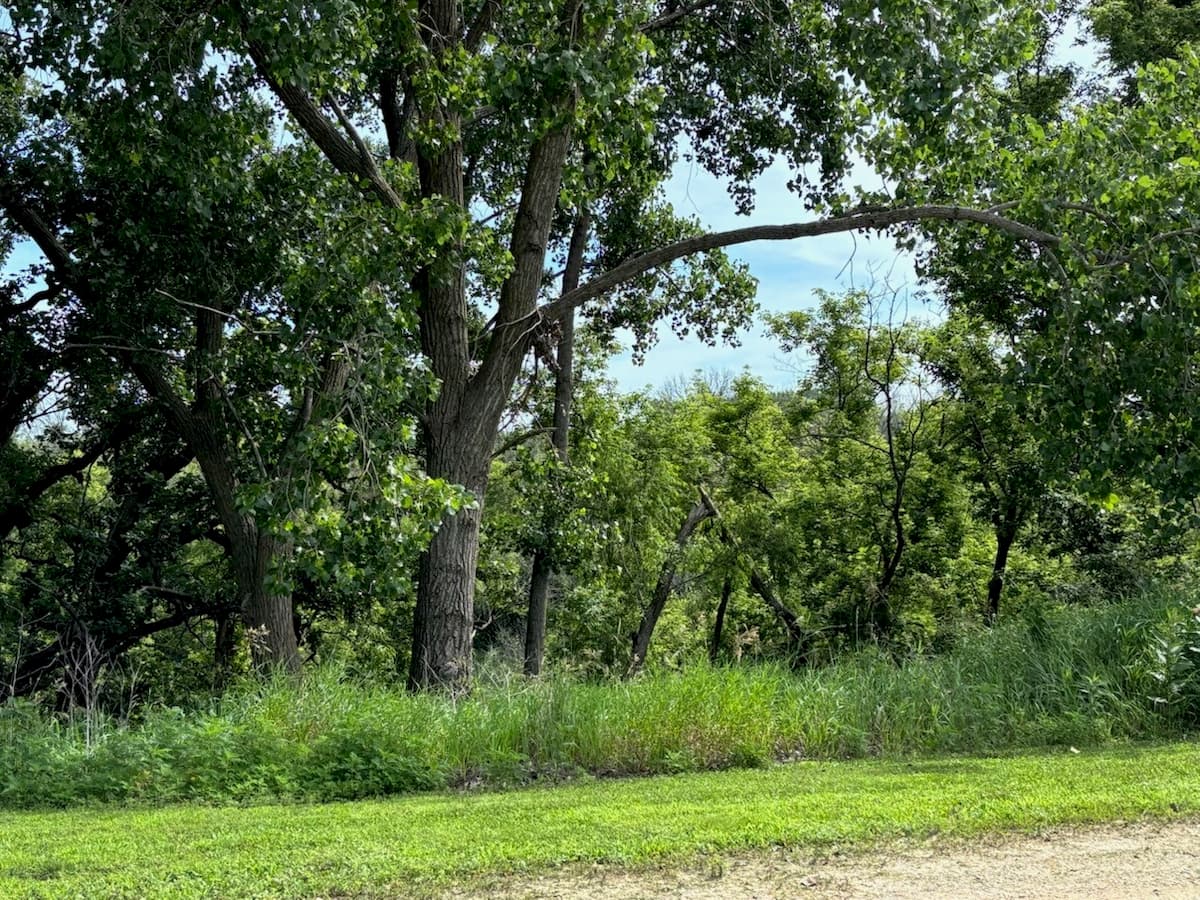 Trowbridge Wildlife Area