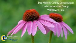 DMCC Ladies Adventure Group Wildflower Hike