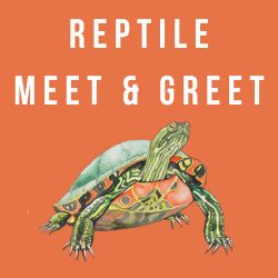 Reptile Meet and Greet