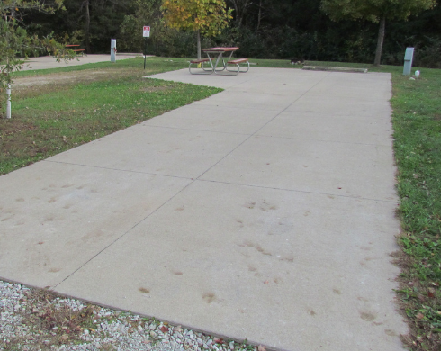 Wilson Lake Campsite #11 Non Reservable