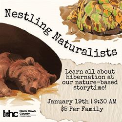 Nestling Naturalists: Hibernation