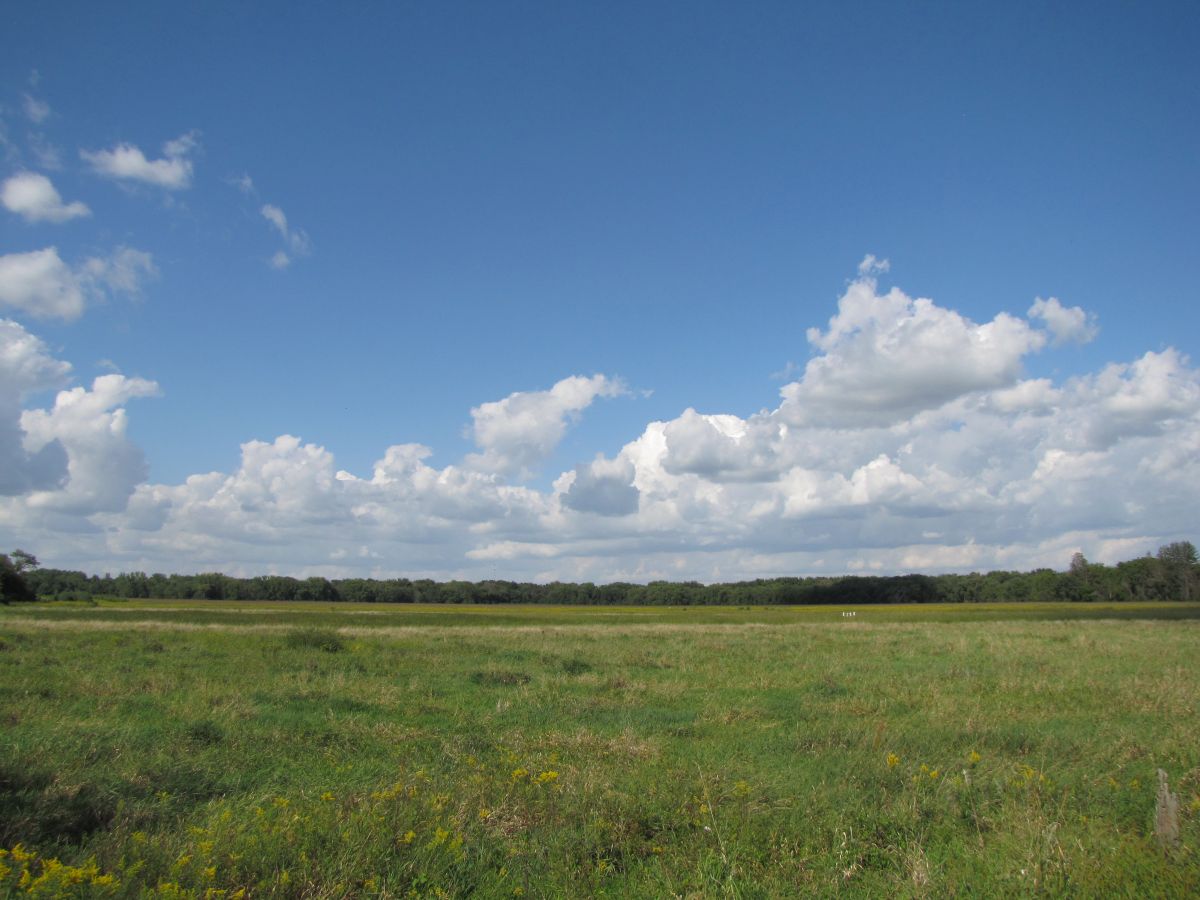 Little Wapsi Tallgrass