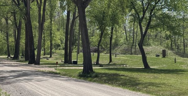 Cedar Valley Campsite