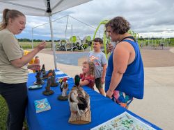 Fresh Air Fridays - Summer Series