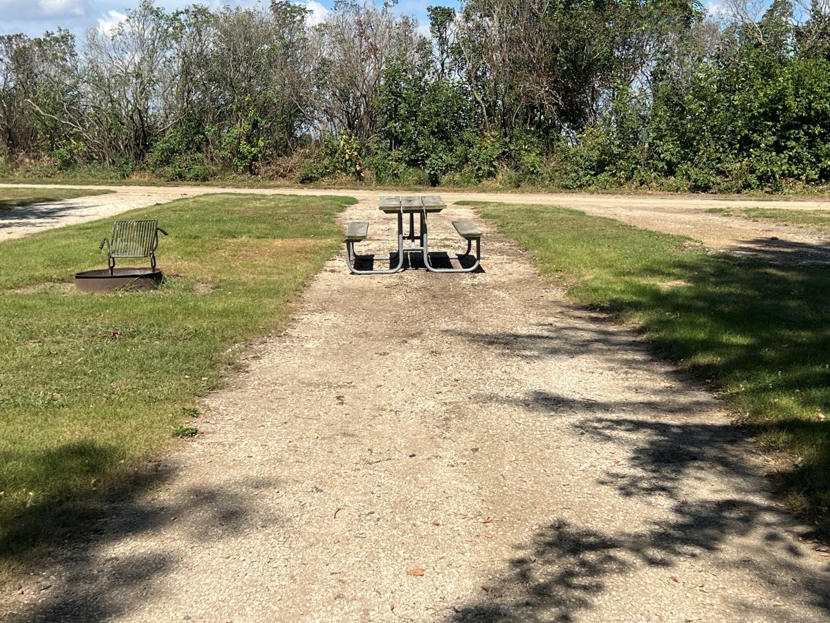 Dog Creek Campsite #02