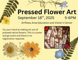 Pressed Flower Art