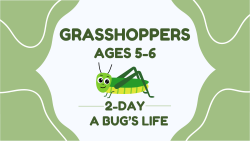 Summer Camp - Grasshoppers (Age 5-6) July 9-10