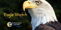 Eagle Watch
