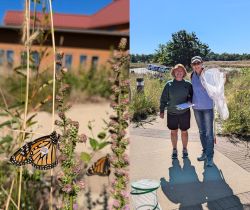 Monarch Tagging
