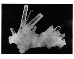 Grow Your Own Crystal