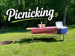 Picnicking