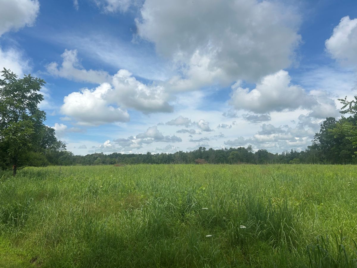 Morris Wildlife Area