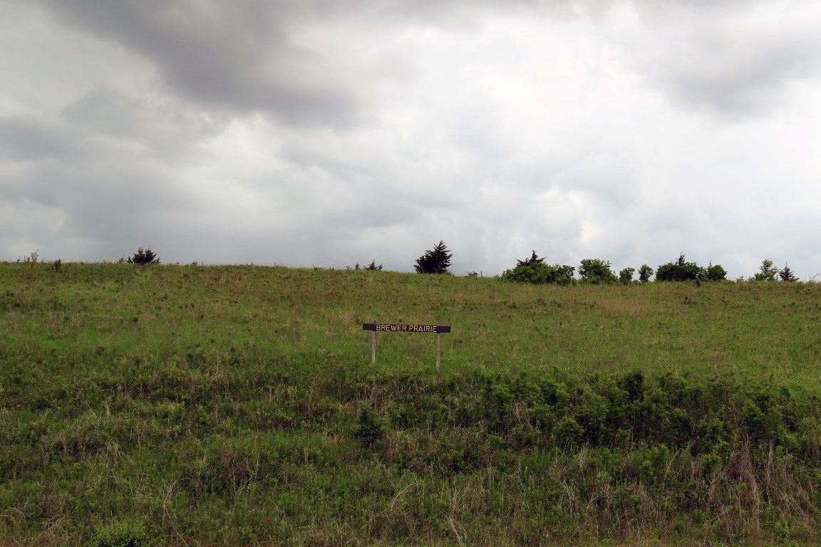 Brewer Prairie sign