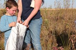 Prairie Seed Harvest at Wicks Wildlife Area