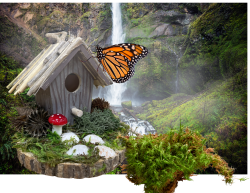 Fairy Houses Social Night