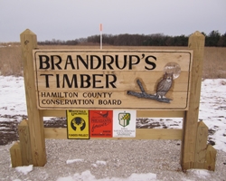 ADA Hunting Blind