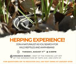Herping Experience!