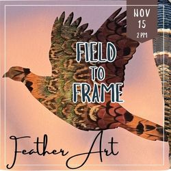 Field to Frame: Feather Art