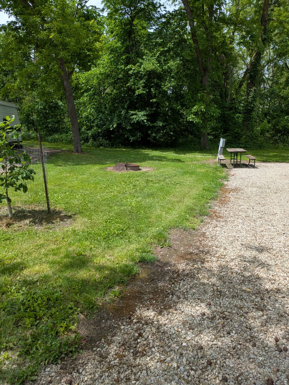 Grass area