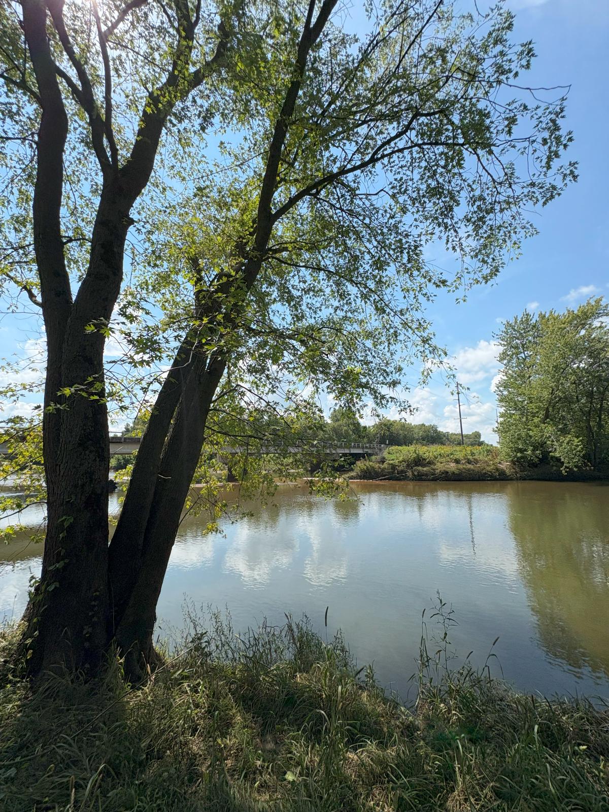 Wapsi River Kayak Float