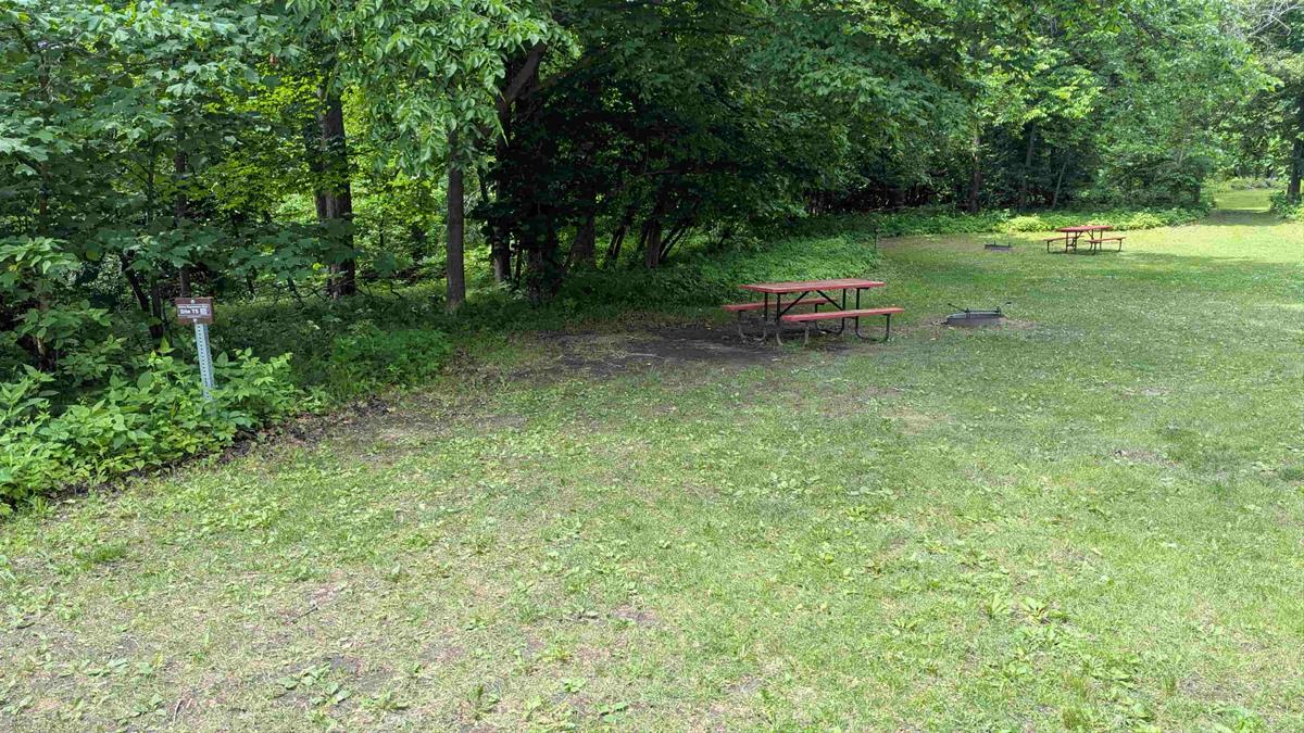 Swede Point Park Tent Site 5