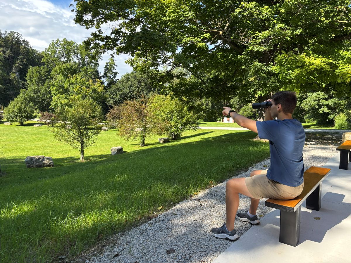 Bird-watching at Moe Park