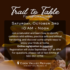 Trail to Table: Fall Foraging