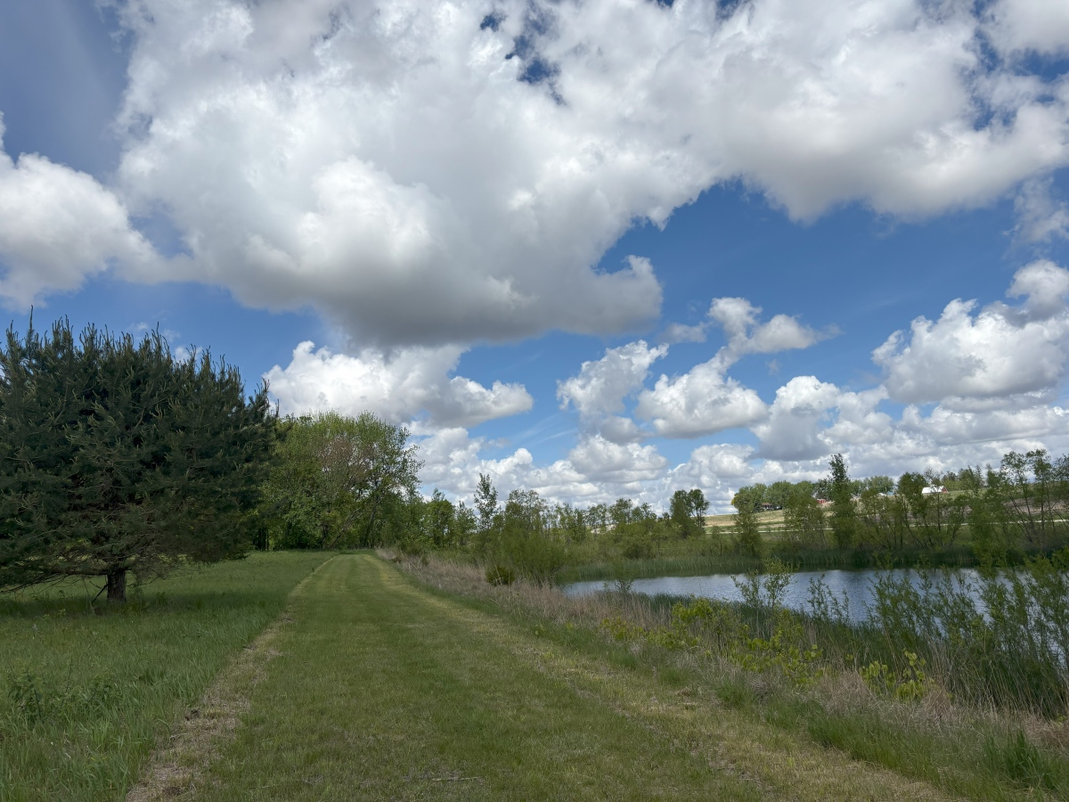 Horton Ponds mowed path