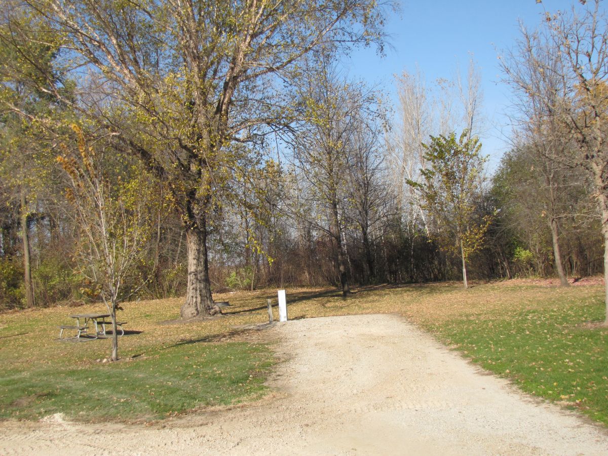 Airport Lake Campsite 31