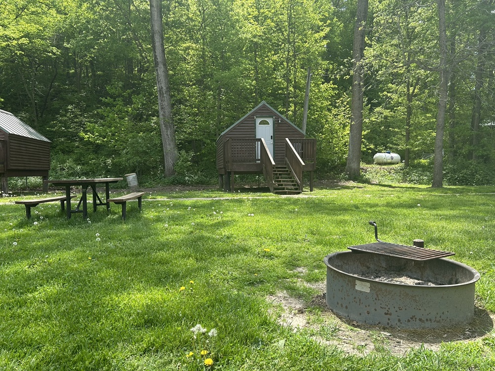 Cabin 1 Picnic Area
