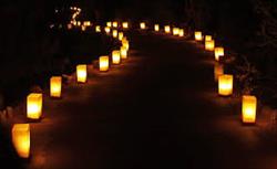 Light the Night (5-6:30)