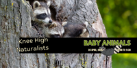 Knee High Naturalists - Baby Animals