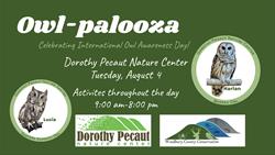 Owl-palooza