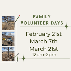 Family Volunteer Days