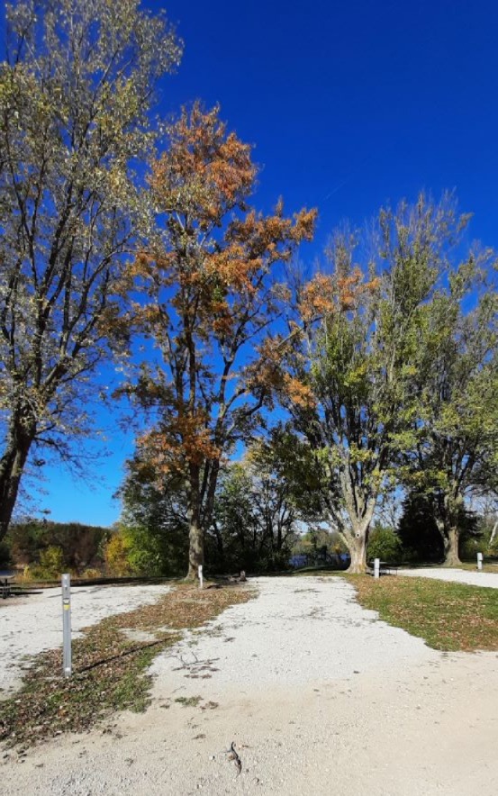 Electric Site 006 - Don Williams