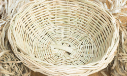 Basket Weaving Workshop
