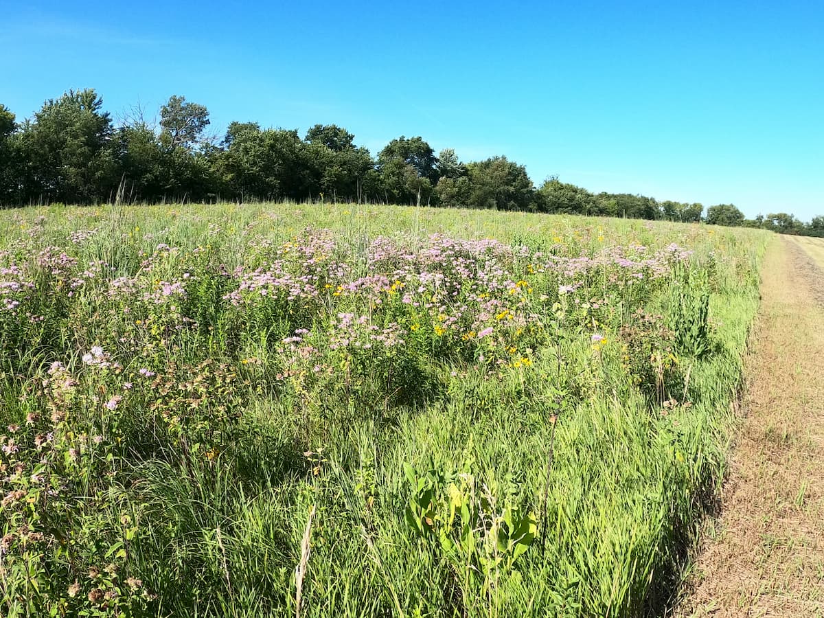Rock Creek Wildlife Area