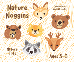 Nature Tots: Nature Noggins - Ages 3-6