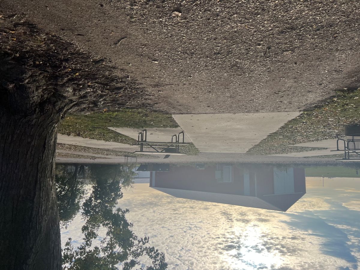 Mill Creek Campsite #19