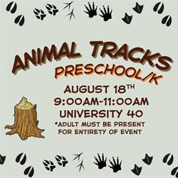 Preschool / Kindergarten - Animal Tracks