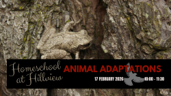 Homeschool at Hillview - Animal Adaptations