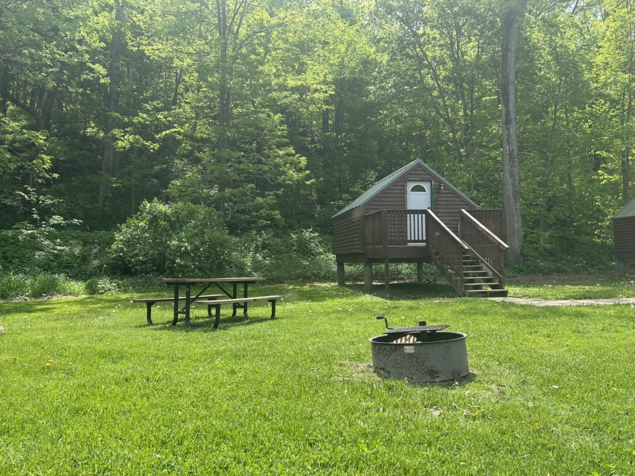 Cabin 2 Picnic Area
