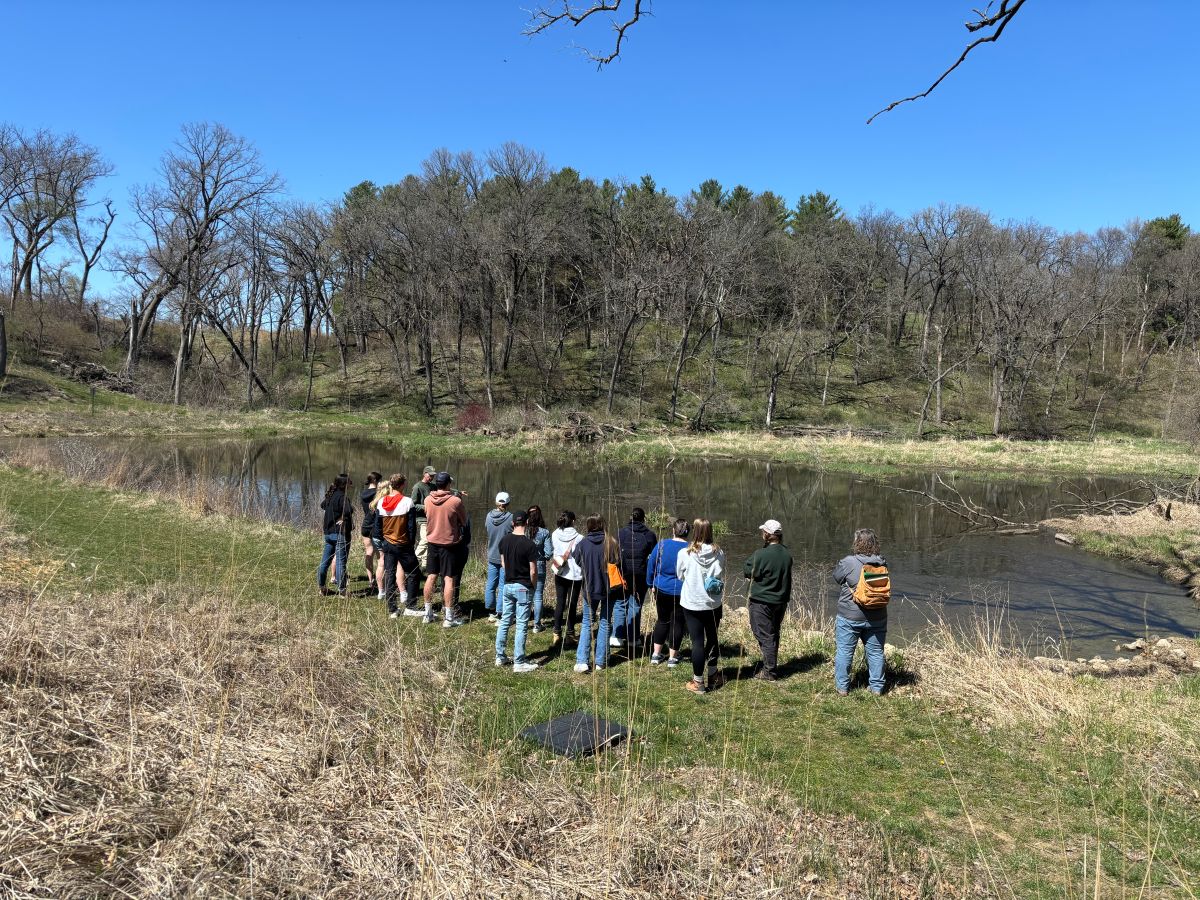 Students explore the Lake Meyer wetlands