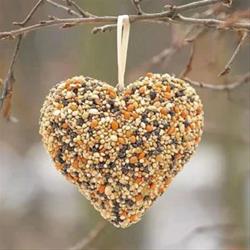 OWLS Program "Backyard Bird Treats"