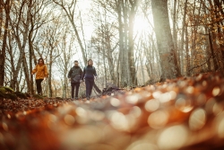 Snowshoe Hop or Hike