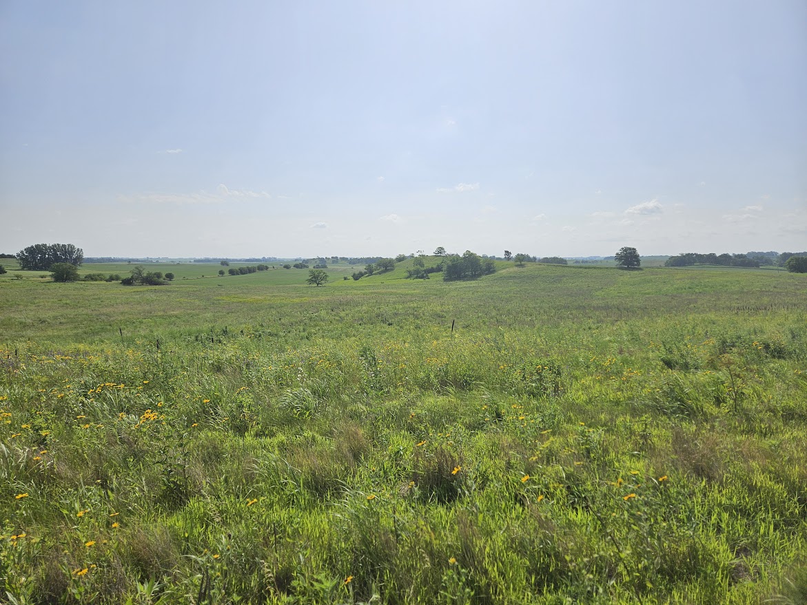 Masterson Wildlife Area Hill Top East View 