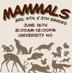 3rd, 4th, 5th Grade Camp - Mammals of Iowa