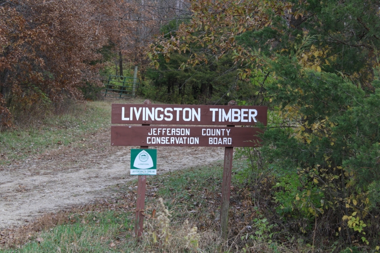 Livingston Timber Sign